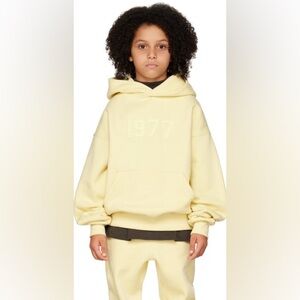 Essentials Fear of God | 1977 Hoodie